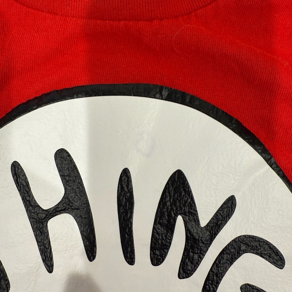 Thing 1 & Thing 2 Cat in the Hat Costumes - Picture 4 of 5